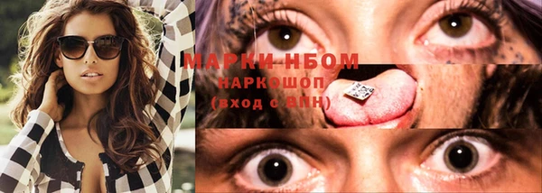 мдпв Михайлов