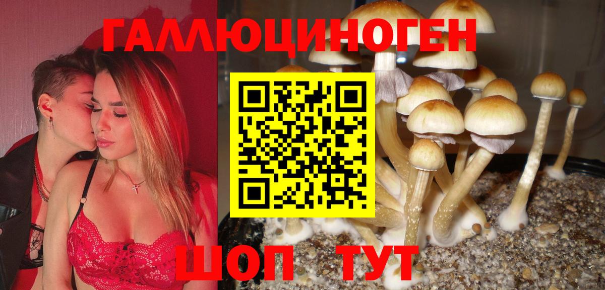 Тихорецк  закладка  Вход с VPN  Псилоцибиновые грибы прущие грибы 