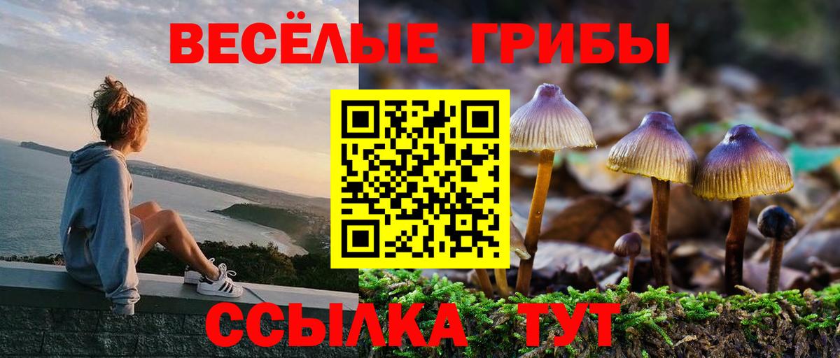 Псилоцибиновые грибы прущие грибы Тихорецк